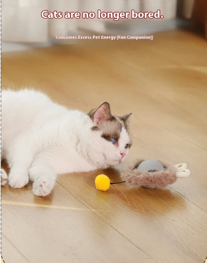 Cat Play Toys