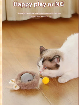 Cat Play Toys