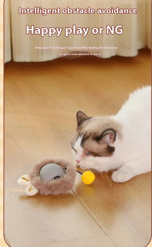 Cat Play Toys