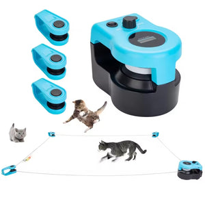 Cat Catch Play Set