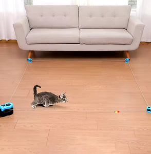 Cat Catch Play Set