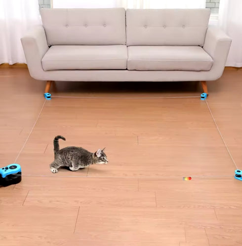 Cat Catch Play Set