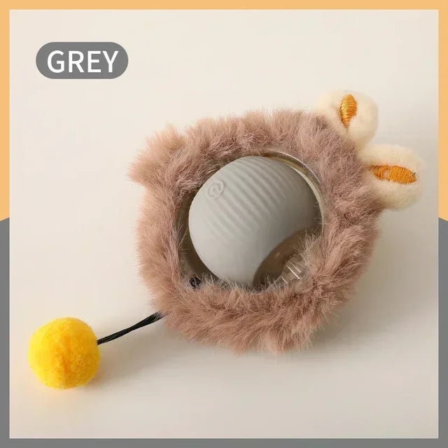 Cat Play Toys