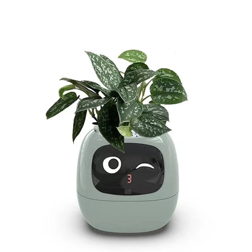 Happy Robot AI  Planter