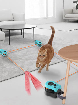 Cat Catch Play Set