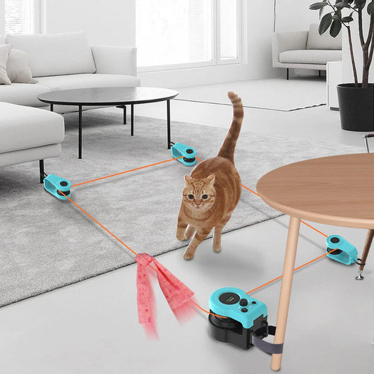 Cat Catch Play Set