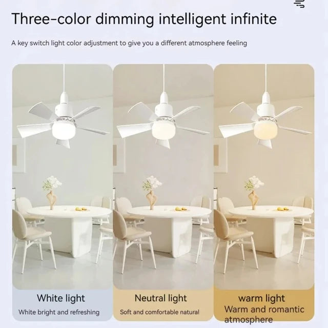 2 in 1  Lights & Ceiling Fan