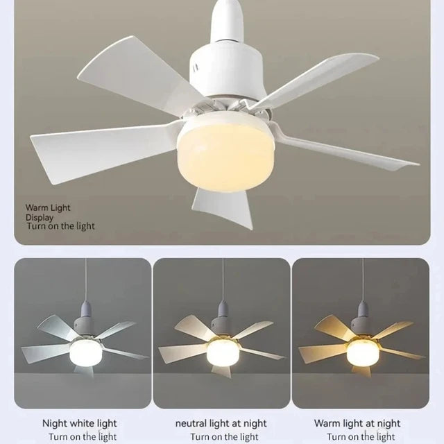 2 in 1  Lights & Ceiling Fan