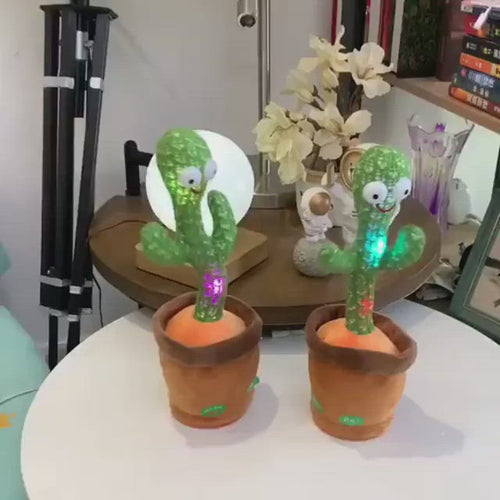 Super Funny Dancing Cactus