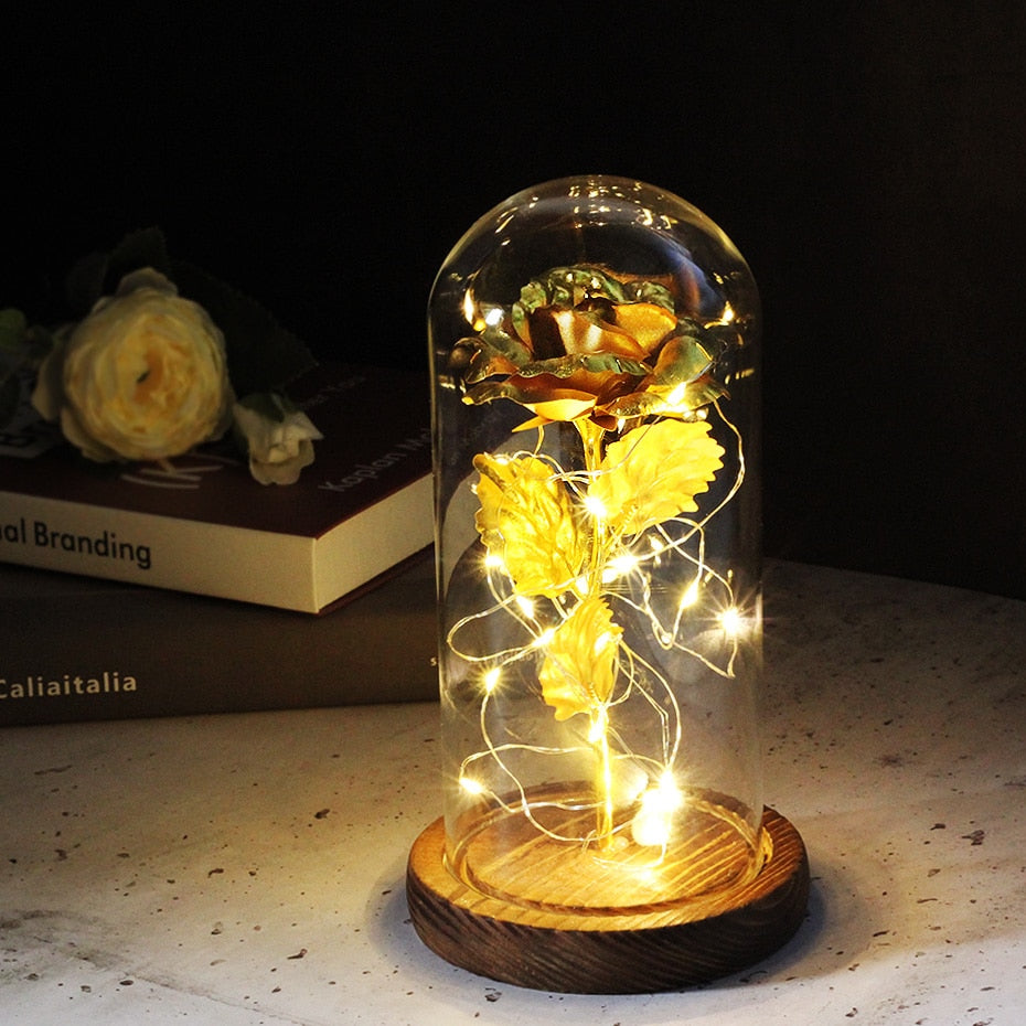 Eternal Rose  LED Light  In Glass Cover for Valentines Day Gift, Christmas Home Decor, Mothers Day,  & New Year Gift - OZN Shopping