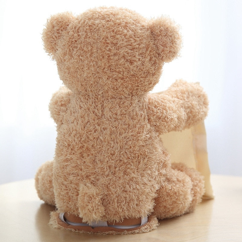 Teddy Bear Robot