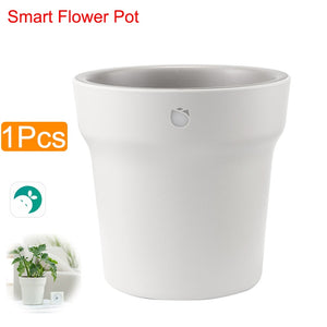 Flower Monitor Flora Garden Care Plant Grass Soil Water Fertility Smart Tester Sensor Flower Gardening Detector - OZN Shopping