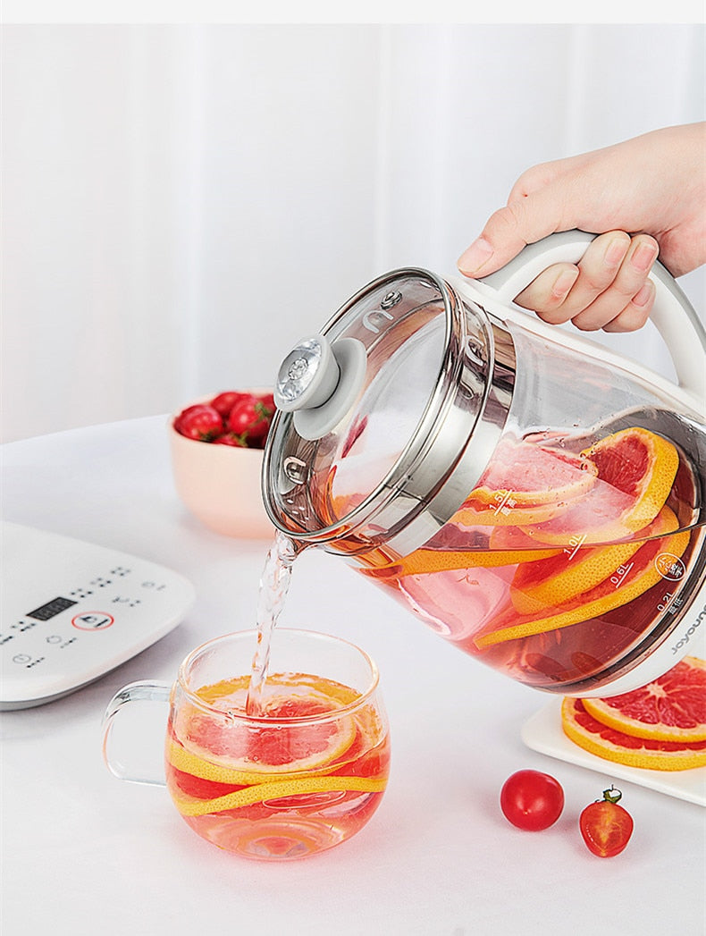 Household Electric Kettle Automatic Glass Health Preserving Pot Portable Mini Multi Cooker Tea Dessert Cooker - OZN Shopping