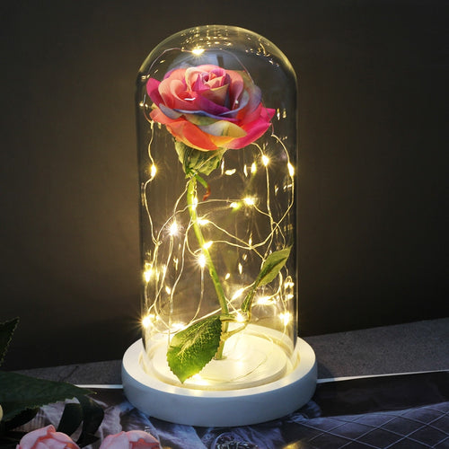 Eternal Rose  LED Light  In Glass Cover for Valentines Day Gift, Christmas Home Decor, Mothers Day,  & New Year Gift - OZN Shopping