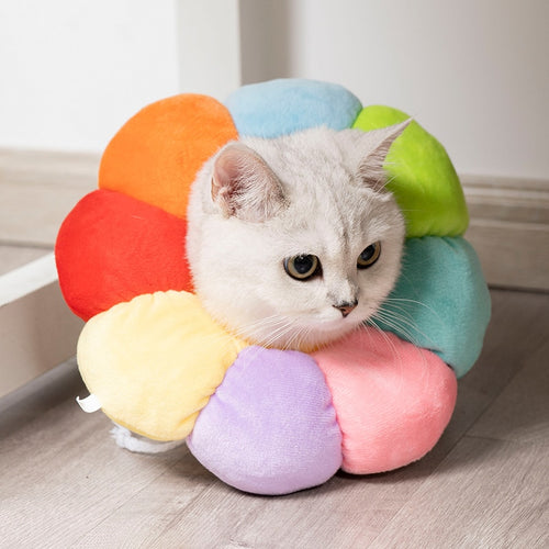 Cats & Dogs Cute Hat
