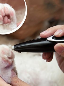 Professional Pets Hair Trimmer,  Hair Clipper Grooming Kit for Dogs Cats & Pets