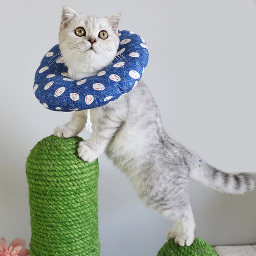 Cats & Dogs Cute Hat