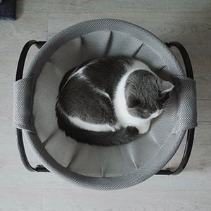 Luxury Pet Cat Bed - OZN Shopping