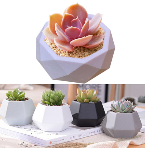 Flower Plants Mould - OZN Shopping