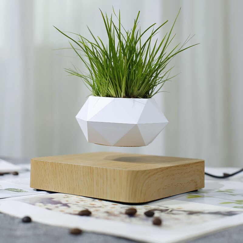 Floating Plants Home Decor - OZN Shopping