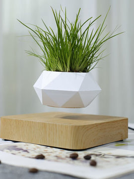 Floating Plants Home Decor