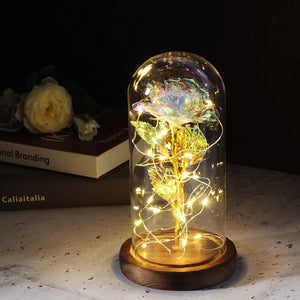 Eternal Rose  LED Light  In Glass Cover for Valentines Day Gift, Christmas Home Decor, Mothers Day,  & New Year Gift - OZN Shopping