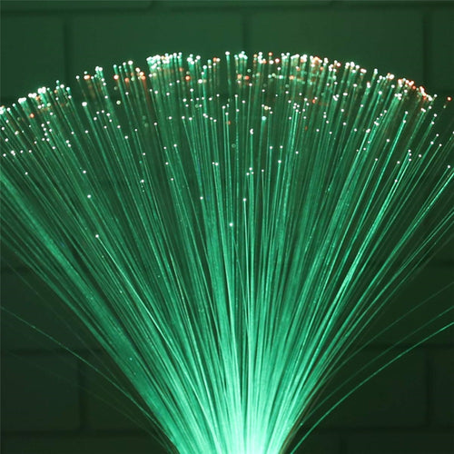 Fibre Optic LED Lamp - OZN Shopping