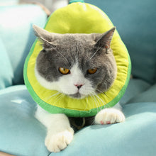 Load image into Gallery viewer, Cats &amp; Dogs Cute Hat
