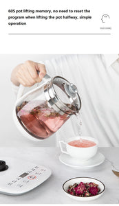 Household Electric Kettle Automatic Glass Health Preserving Pot Portable Mini Multi Cooker Tea Dessert Cooker - OZN Shopping