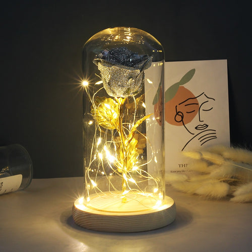 Eternal Rose  LED Light  In Glass Cover for Valentines Day Gift, Christmas Home Decor, Mothers Day,  & New Year Gift - OZN Shopping