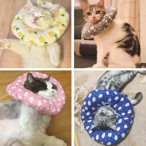 Cats & Dogs Cute Hat