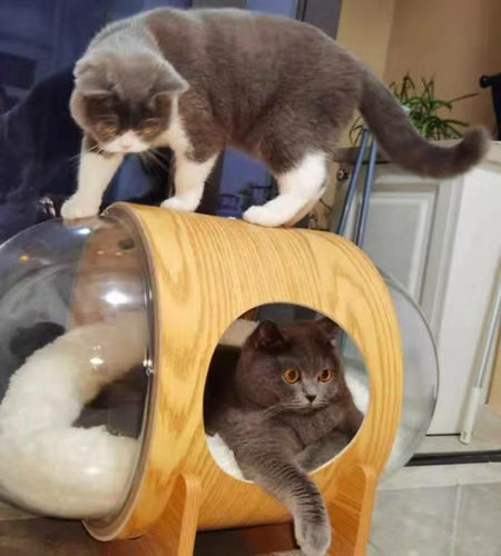 Capsule Pet Bed - OZN Shopping