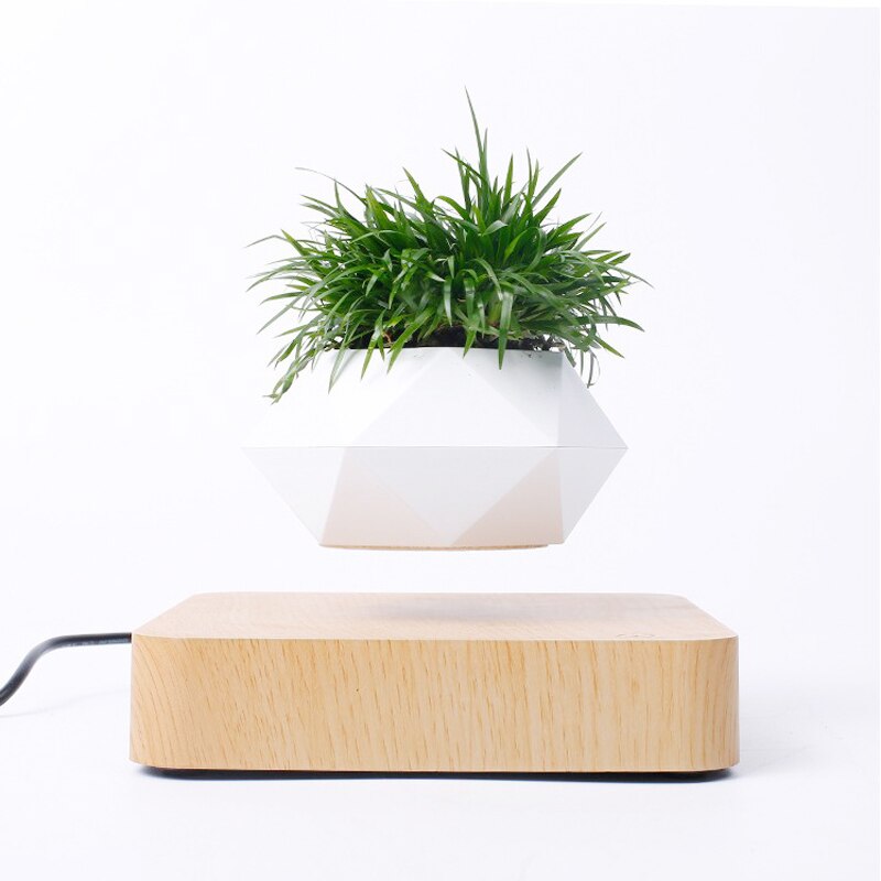 Floating Plants Home Decor - OZN Shopping