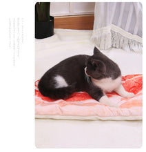 Load image into Gallery viewer, Pet Cushion Blanket Soft Velvet Pizza Egg Food Fruit Printed Dog Cats Sleeping Mat Winter Warm Blankets Pets Products - OZN Shopping
