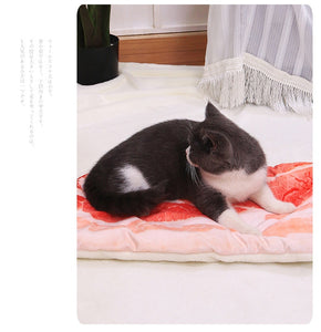 Pet Cushion Blanket Soft Velvet Pizza Egg Food Fruit Printed Dog Cats Sleeping Mat Winter Warm Blankets Pets Products - OZN Shopping