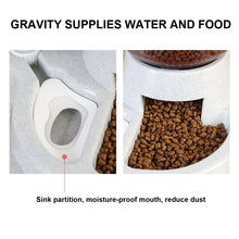 Load image into Gallery viewer, Pet Dot Cat Water &amp; Food Feeder &amp; Dispenser Bowl - OZN Shopping
