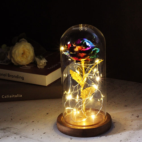 Eternal Rose  LED Light  In Glass Cover for Valentines Day Gift, Christmas Home Decor, Mothers Day,  & New Year Gift - OZN Shopping