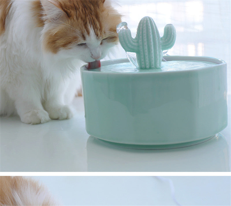 Cactus Shape Cats Water Fountain for Pets