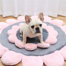 Load image into Gallery viewer, Pet Kennel Dog Bed Sofa Mat Sleeping Washable Cat House Beds for Large Small Medium Bulldog Frances Mats Dogs Plush Supplies - OZN Shopping
