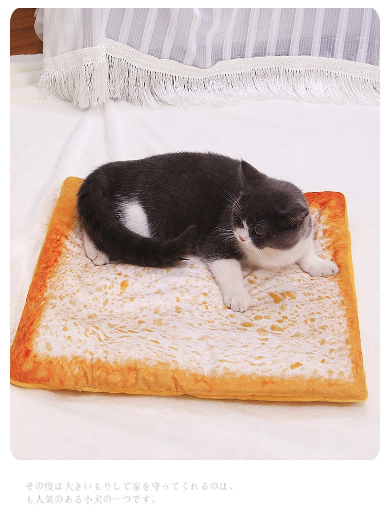 Pet Cushion Blanket Soft Velvet Pizza Egg Food Fruit Printed Dog Cats Sleeping Mat Winter Warm Blankets Pets Products - OZN Shopping