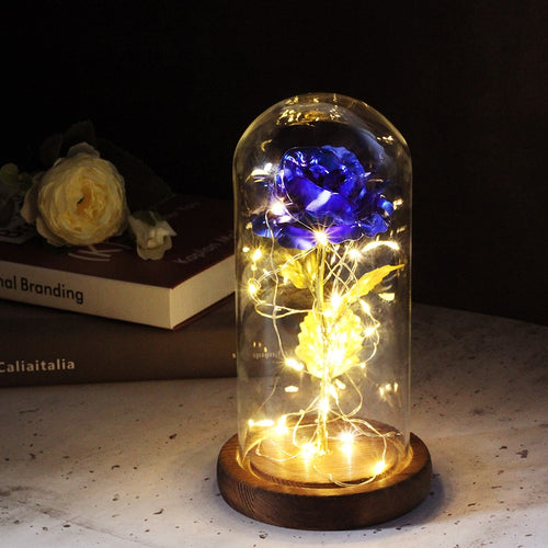Eternal Rose  LED Light  In Glass Cover for Valentines Day Gift, Christmas Home Decor, Mothers Day,  & New Year Gift - OZN Shopping
