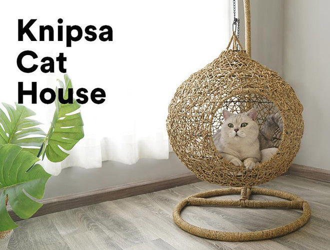 Swinging Hammock Chair Swing Egg /woven Rattan Pet Cat Hanging Bed - OZN Shopping