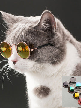 Pet Cat Glasses Dog Glasses Pet Products for Little Dog Cat Eye Wear Dog Sunglasses Photos Props Accessories Pet Supplies Toy