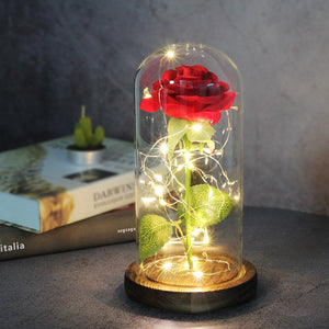 Eternal Rose  LED Light  In Glass Cover for Valentines Day Gift, Christmas Home Decor, Mothers Day,  & New Year Gift - OZN Shopping