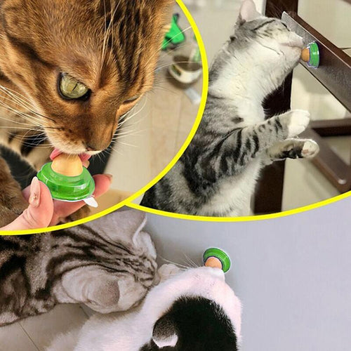 Cat Sugar Ball Cat Snacks Candy Licking Solid Nutrition Cat Treats Energy Ball Toy With Natural Catnip And Sucker For Cats - OZN Shopping