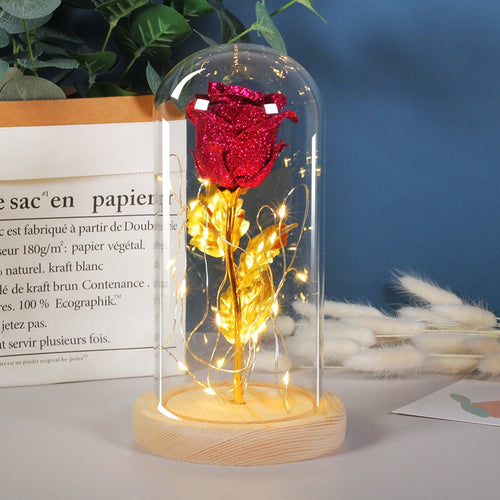 Eternal Rose  LED Light  In Glass Cover for Valentines Day Gift, Christmas Home Decor, Mothers Day,  & New Year Gift - OZN Shopping