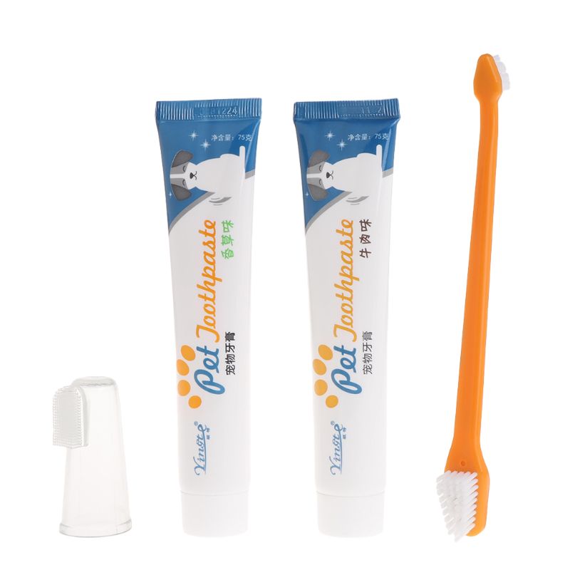 Cat Tooth Brush + Tooth paste Oral Hygine Kit / Pets & Dogs - OZN Shopping