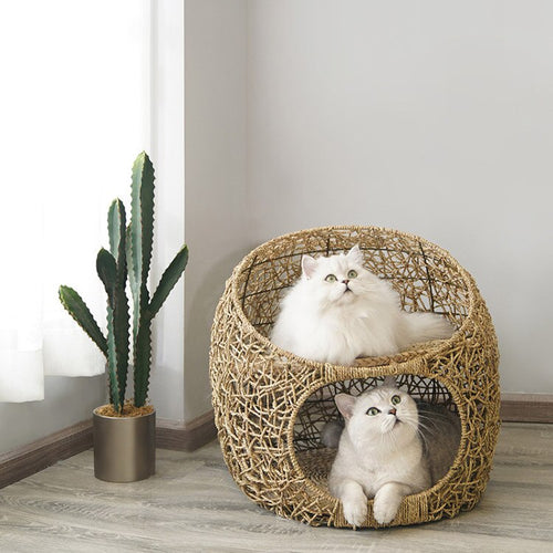 Swinging Hammock Chair Swing Egg /woven Rattan Pet Cat Hanging Bed - OZN Shopping