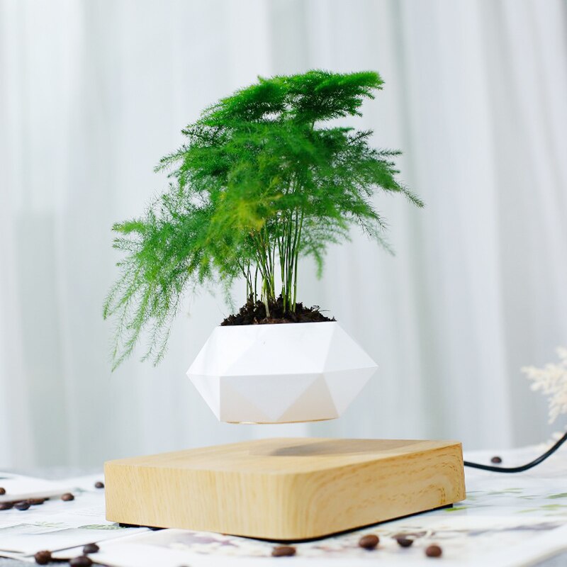 Floating Plants Home Decor - OZN Shopping