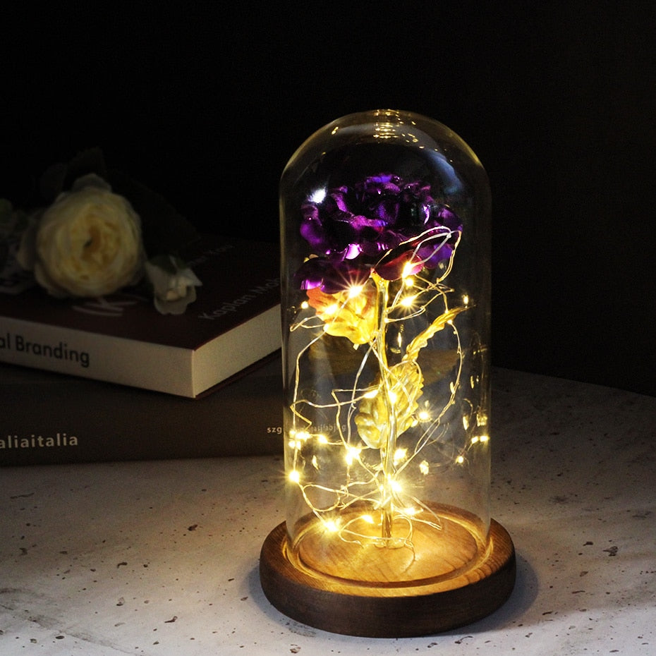 Eternal Rose  LED Light  In Glass Cover for Valentines Day Gift, Christmas Home Decor, Mothers Day,  & New Year Gift - OZN Shopping